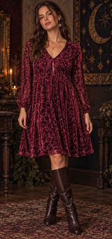 Tommy Hilfiger Burnout Velvet Dress Sz 6 Whimsigoth Burgundy Sheer Romantic Goth Photo 0