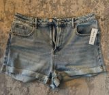 PacSun Mom Jean Shorts Photo 0