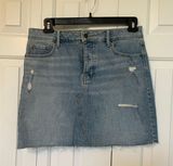 Denim Skirt Photo 0
