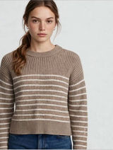 Aritzia Taupe Striped Crewneck Sweater—Fall Fashion Sweater Photo 0