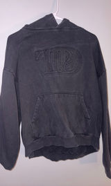 Tortured Poets Department Taylor Swift Hoodie Photo 0