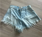 Free People Shorts Photo 0