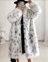 Dalmatian Coat Photo 0
