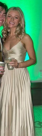 Abercrombie Giselle Pleated Dress Photo 0