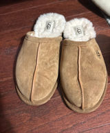 UGG Slippers 7 Photo 0