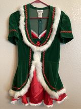 NIB Holiday Honey Christmas Costume by InCharacter Costumes Sz L Photo 0