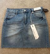 Jean skirt Photo 0