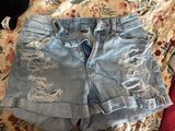 American Eagle Shorts Photo 0