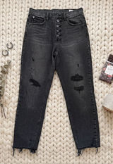 We The Free Free People High Rise Button Fly Distressed Straight Leg Jeans 27 Photo 0