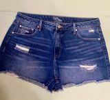 Time And Tru Denim shorts Sz 16 High Rise Photo 0