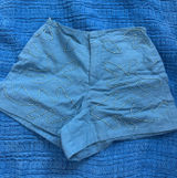 ZARA Beaded Shorts Photo 0
