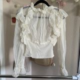 Babydoll Mesh Long Sleeve Top Photo 0