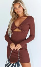 Brown Bodycon Dress Photo 0