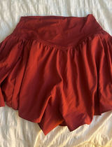 Offline Aerie Shorts Photo 0