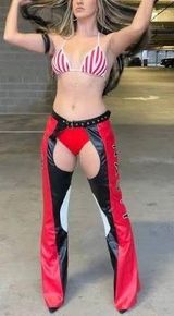 Christina Aguilera Dolls Kill Costume Photo 0