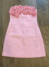 Light pink hoco dress Size XS Photo 0
