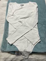 Aritzia Babaton Bodysuit Photo 0