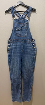 American Eagle Medium Wash Denim Classic Overalls Size M Photo 0