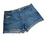 Abercrombie &e Fitch‎ The 4" Mom Short High Rise Jean shorts sz 20 Photo 0