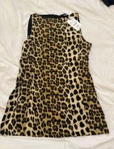 ZARA Cheetah Dress Photo 0