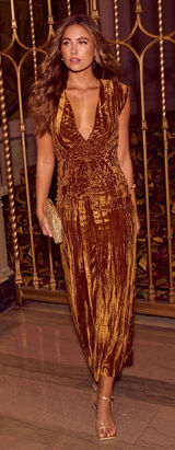 VICI Jensine Plunging Neckline Velvet Maxi Dress Photo 0