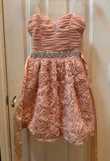 Trixxi size S Sleeveless Pink Rosette Formal Dress with Beaded Waist for Girls Photo 0