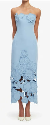 Miss Rosier Blue Midi/Maxi Dress Photo 0