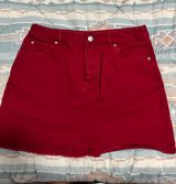 Forever 21 Skirt Photo 0