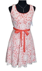 Dressbarn Coral Lace Fit Flare Dress Size 8 Sleeveless Tie Waist Women Photo 0