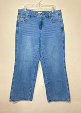 Pacsun Low Rise Baggy Jeans Photo 0