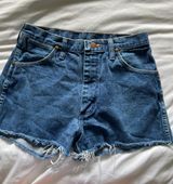 Distressed Vintage Shorts Photo 0