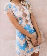 Lace Mini Dress Photo 0