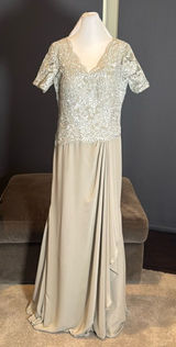 Women’s Full Length Gray Chiffon & Lace Appliqué Formal Dress Zip Back Size 10 Photo 0
