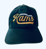 Major Motion Pictures Studios / Tv Show Wardrobe SCREEN-USED OSFA green rams champion strap back sports basketball cap CUSTOM MADE Photo 0