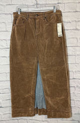 NWT BDG Urban Outfitters Women’s Brown Velvet Style Skirt, Medium Photo 0