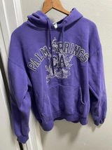 Y2K Palm Springs Purple Hoodie Letter Embroidery Sz L Photo 0