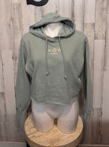 Hollister Embroidered Daisy Raw Hem Cropped Hoodie Womens Small Sage Green Photo 0