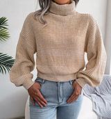 Beige Turtleneck Photo 0