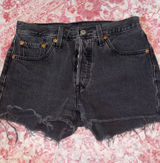Levi’s Shorts Denim Photo 0