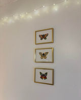 Butterfly Print Photo 0
