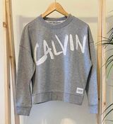 Calvin Klein Heather Gray Logo Sweater Photo 0