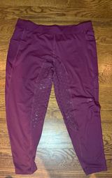 FitsT4 Sports Women's Riding Tights, Plum, XXL, Full Grip Leggings Photo 0