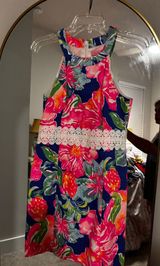 Lilly Pulitzer Dress Photo 0