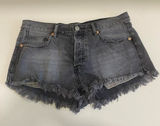 Free People We The Free Jean Shorts‎ Size 28 Photo 0