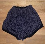 black cheetah/leopard print shorts Size XL Photo 0