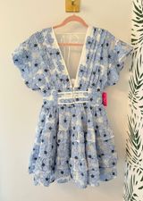 BuddyLove Blue Mini Plunge Dress Photo 0