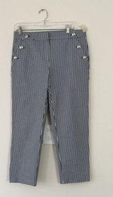 LOFT Women's Blue/White Striped The Riviera Slim Ankle Pants -6 Photo 0