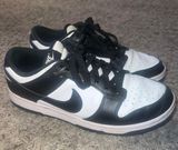 Dunk Low Panda Photo 0