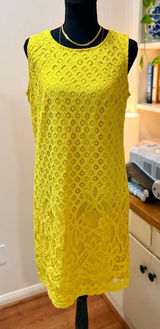 Zac & Rachel Yellow Lace Dress Size 10 Lined Wedding Guest Summer Floral Feminin Photo 0