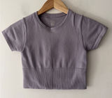 Aerie Offline Sidewalk Seamless Purple Lilac Crop Top Tee Photo 0